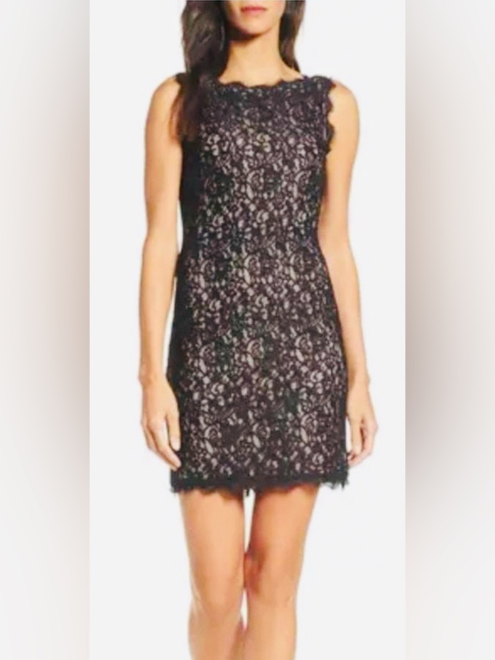 Adrianna Papell Navy Blue Lace Overlay Dress